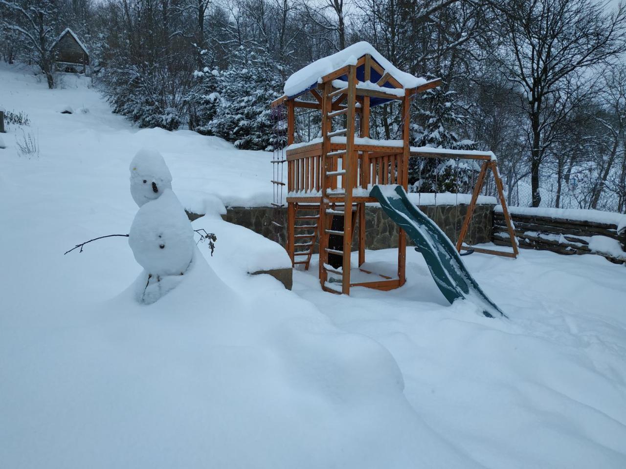 Ecolodge Novoselitsa  Exterior photo